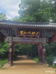 폭염이 바람과 함께 사라진 곳…오대산 월정사 선재길 걸어보니