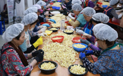 충북 ‘일하는 밥퍼’, 노인 고용-복지-경제활력 순환… 서울로 확산