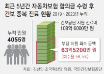 갤럭시아_의료비_4 | [단독]車보험서 치료비 받곤 금지된 건보 치료… 5년간 108억 샜다