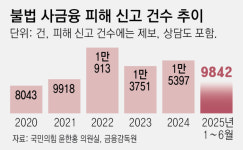 상반기 불법사금융 피해 9842건… 금감원 “석달간 현장검사”