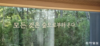 ‘휴양림계의 에르메스’ 수락휴 체험해보니 [김선미의 시크릿가든]