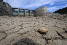 극한가뭄 강릉, 공중화장실 폐쇄…속초는 워터밤 여는데 왜?