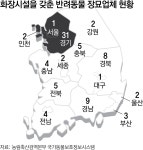 카페형 화장장-온라인 추모관 등장…반려동물 장례 문화 확산