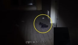 흉가체험 유튜버, 산청 폐리조트 촬영중 시신 발견