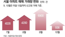 “토허제 확대前 전세 끼고 매입 원해” 문의 쇄도
