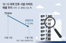 ‘최대 대출 가능’ 9억이하 아파트로… 노원-성북-강서 거래 몰려