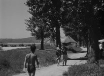 사과 키우는 근교 농장, 피서객 몰리는 유원… 뚝섬의 변신은 무죄[염복규의 경성, 서울의 기원]