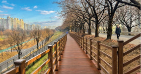 새해 손님 맞이 준비 끝, 힐링 시작