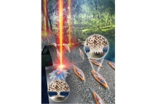 [스타트업-ing] “친환경 임플란트로 주목” 비투랩, 더 탄탄하게 성장한 이유