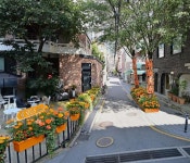 5월, 서울 성수동은 정원 마을이 된다 [김선미의 시크릿가든]