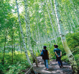 소나무 대신 상수리 숲… 산불 확산 늦추고 탄소 흡수량 2배