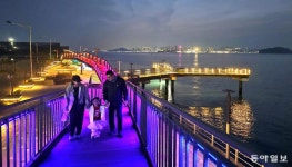 보랏빛 물든 다리 “손 꼭 잡고 건너요”