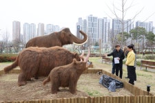 대구 달서구 선사시대로(路) 테마거리 5년만에 완성