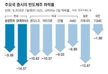메타發 ‘AI 인프라 공급 과잉’ 공포에 삼전닉스 주가 급락
