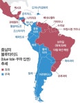 반미냐 친미냐… 美 선거개입 논란 속 브라질 대선 충돌[글로벌 포커스]