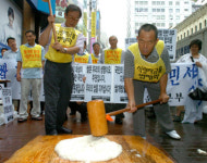 쌀개방 반대 시위