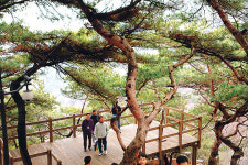 40년만에 열린 성곽 따라 600년 사연들이 밟히네