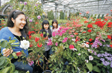 <박상문의 포토갤러리> 향·맛·색에 ‘전율’ 절정! 5월의 허브