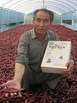 <1사1촌 운동-스타 농민>연구 거듭 ‘최상의 맛’ 찾아… 비싼 가격에도 주문량 폭주
