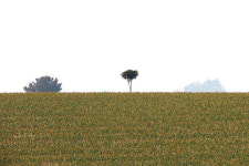 땅끝에서 당신의 마음으로 봄을 전송중입니다