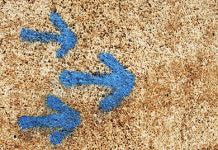 지치도록 쉬는 ‘마음 산책길’