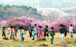 진달래도 동심도 활짝