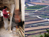 길은 달라도 사람의 향기는 같습니다