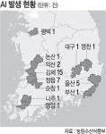 울산·영천 AI 고병원성 확인