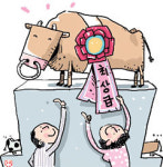 나홀로 잘나가는 ‘1＋ 최상급 한우’