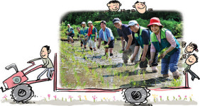 <‘1사1촌’ 세상을 바꾼다>비무장지대 청정쌀 직거래… ‘밥상 불안’ 몰라요