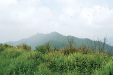 궁예의 恨이런가…‘山’이 되지못한‘峰’