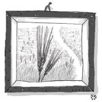 <오후여담>보리