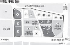 종로 피맛길 ‘오피스 빌딩村’ 된다