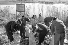 <붕어를 찾아>월척급 ‘쑥쑥’… 겨울 손맛 ‘짜릿’