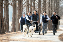 <‘1사1촌’ 세상을 바꾼다>“‘돈 물어다 주는 풍산개’ 우리 마을 보배죠”