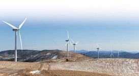 <‘1사1촌운동’ 세상을 바꾼다> 드넓은 草地에서 양떼와 함께… ‘바람마을 관광 돌풍’ 기대하세요