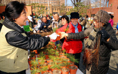 “금강소나무 나눠드려요”