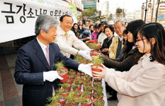 “금강소나무 선산에 심고 싶어”