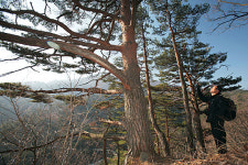 5월의 숲은 휴식이다