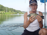 <붕어를 찾아>글루텐 달고 기다리면 의외의 조황