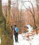 <계절 명산>백백교 잔당이 머문 奧地 겨울의 끝자락도 좋은 산