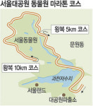 동물원길 마라톤 어때요? 서울대공원 도로·광장 대여