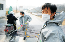 ‘포천’과 혈청 달라… 확산 차단 비상