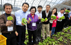 <1사1촌, 녹색희망을 연다>알싸한 곰취향에 취하고… 푸근한 마을인심에 반하고…