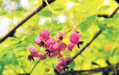 초록빛 천국… 오매, 내 마음도 초록물 들것네 ∼