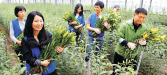 <1사1촌, 녹색희망을 연다>바쁠땐 일손, 수출땐 컨설턴트… “알아서 긁어주는 효자손”