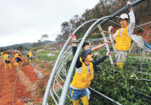 <사랑 그리고 희망 - 2010 대한민국 리포트>곤파스에 쓸려간 빈자리 온몸으로 채워 드립니다