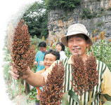 <2010 추석특집-나의 귀농 이야기>“돈 때문에 무너진 공동체, 돈 버는 일 만들어 다시 일으켰습니다”