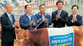 <사랑 그리고 희망 - 2010 대한민국 리포트>구제역 악몽 이후 텅 빈 축사…‘희망의 송아지’미래를 심다