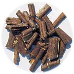 <건강과 웰빙 라이프>오가피, 목숨 더하고 늙지 않는 ‘신선의 약’